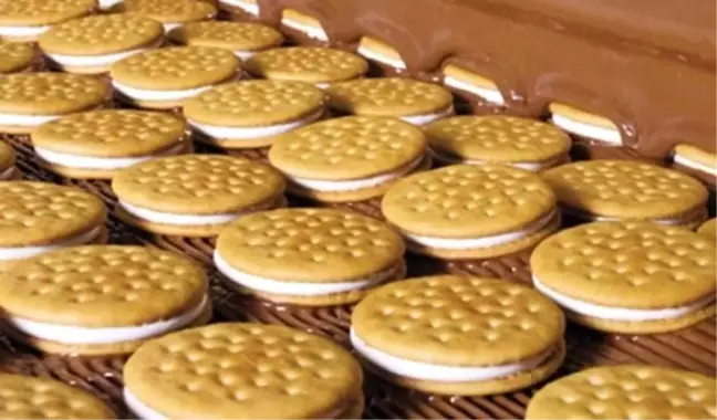 Oylum, 'Wafers'la İhracat Ağını Genişletecek