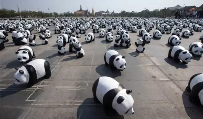 Yatırımda Yeni Moda 'Panda Tahviller'