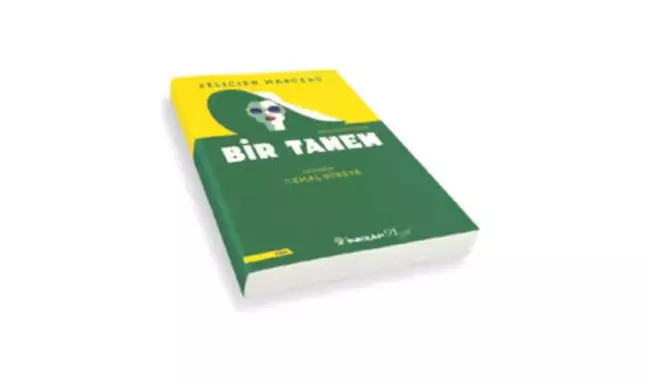 Sınırları Zorlayan Bir İlişki