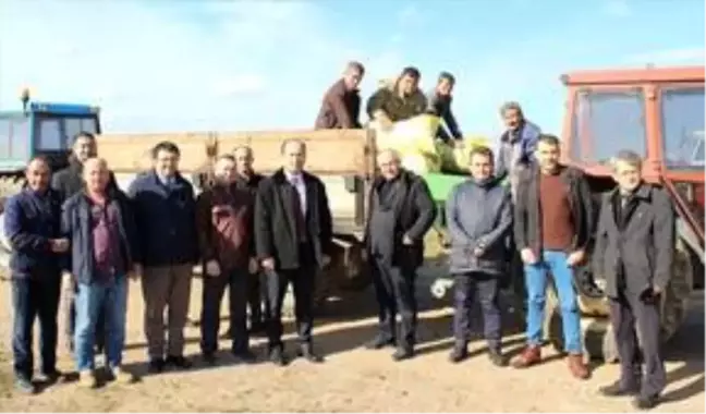 Malkara'da