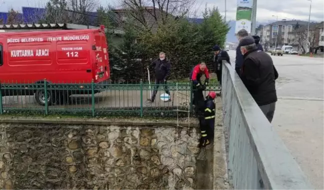 Dere yatağında mahsur kalan köpeği itfaiye kurtardı