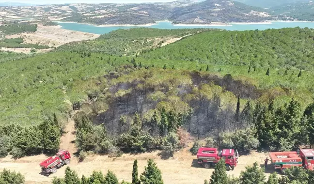 Çanakkale'de Orman Yangınına Havadan ve Karadan Müdahale Ediliyor