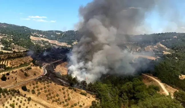 Manisa'nın Gördes ilçesinde orman yangını çıktı