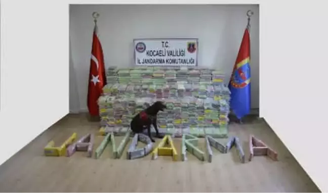 Kocaeli'de Dev Operasyon; 800 Kilo Kokain Ele Geçirildi
