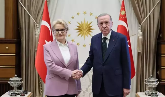 Cumhurbaşkanı Erdoğan, Meral Akşener ile ne görüştü? Hangi konular konuşuldu?