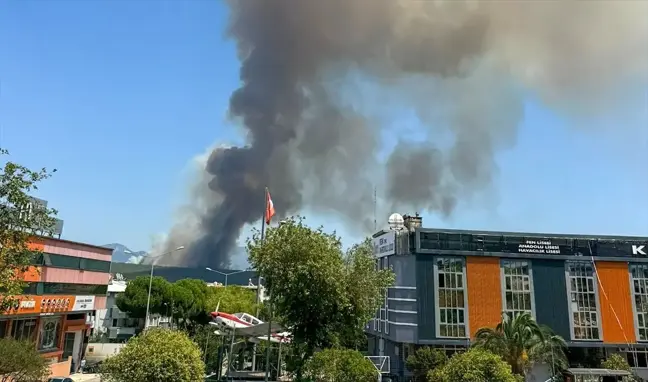 İzmir Gaziemir'deki Ormanlık Alanda Yangın Kontrol Altına Alınmaya Çalışılıyor