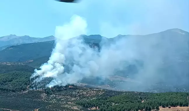 Hatay'ın Hassa ilçesinde orman yangınına müdahale başladı