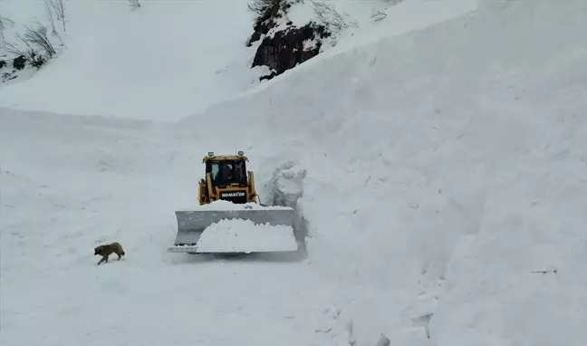 Artvin'in Borçka ilçesinde kapanan köylere ulaşım sağlandı