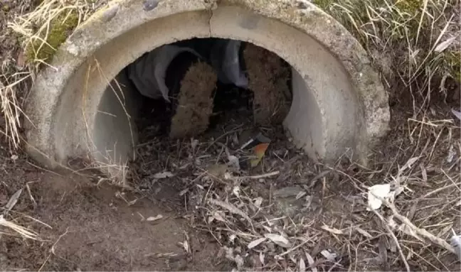 Yozgat'ta menfezde mahsur kalan 7 yavru köpek kurtarıldı