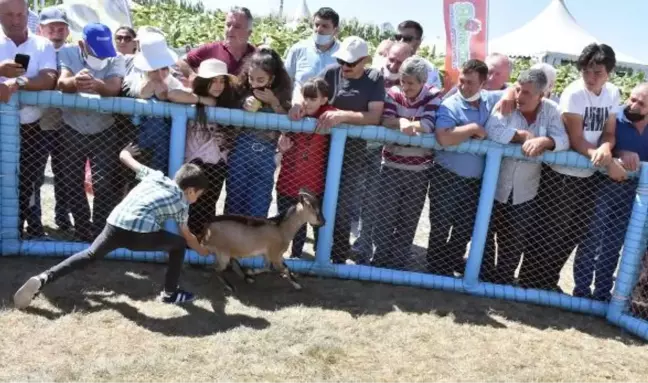 ÇOCUKLAR OĞLAK YAKALAMAK, BÜYÜKLER YEMEK İÇİN YARIŞTI