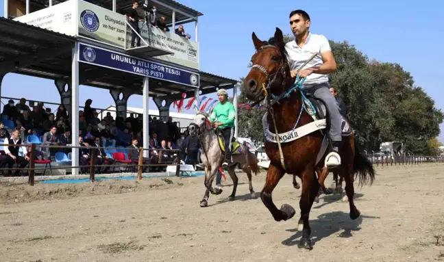 Rahvan atlar Cumhuriyet için koştu