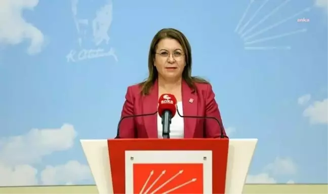 CHP Denizli Milletvekili Gülizar Biçer Karaca Akciğer Ameliyatı Oldu