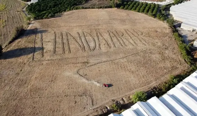 Çiftçi, hayranı olduğu sanatçının adını tarlasına yazdı