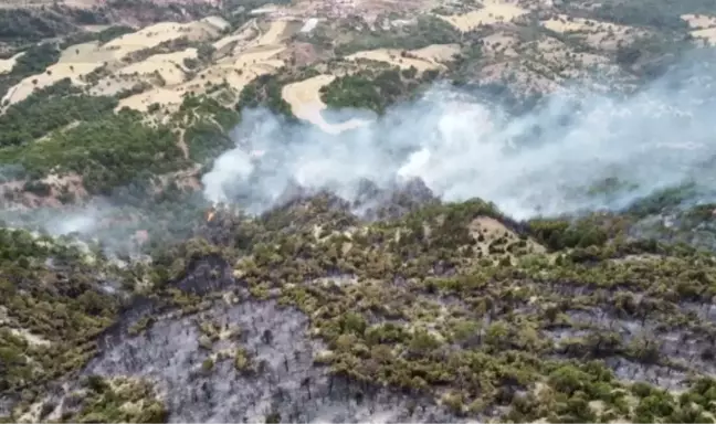 Bolu yangın söndü mü? 16 Ağustos Bolu yangını devam ediyor mu?