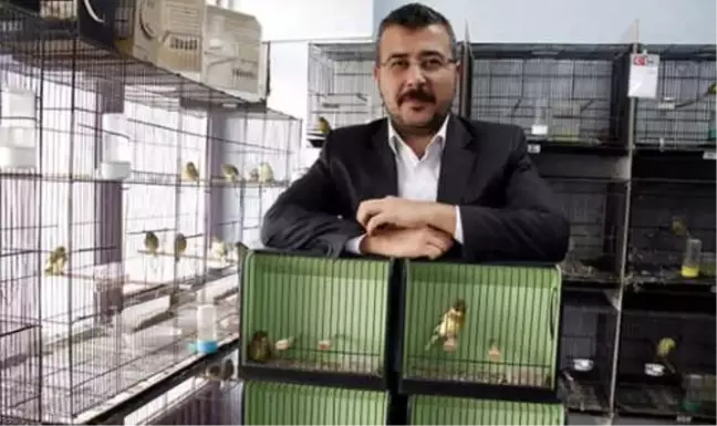Avukat Çetin'in Kanaryaları Dünya Birincisi