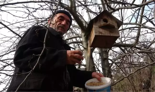 Kuşlar için yuva yapıp, ağaçlara astı