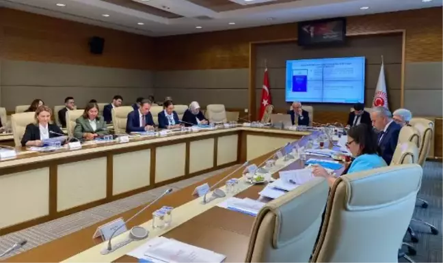 'Bazı suçlar için yaşlılık hali ağırlaştırıcı sebep sayılsın' önerisi