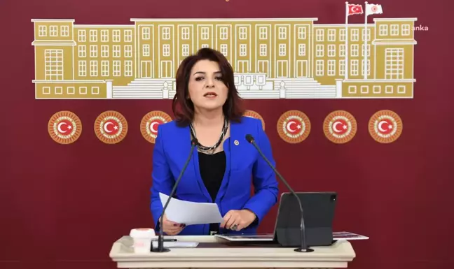 CHP Milletvekili Gülcan Kış: Türkiye'de Ekonomik Kriz Esnafı Vurdu