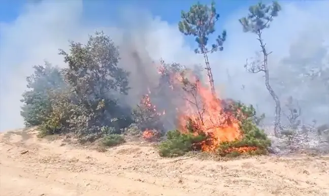 Bilecik'te Arazi Yangını Kontrol Altına Alındı