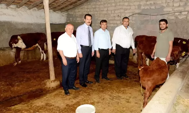 Genç Çiftçi Projesi Şehirden Köye Göç Ettirdi