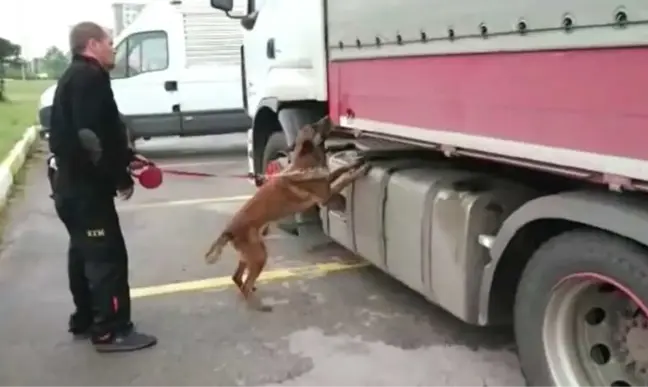 Tırın Dorsesinden 42 Kilo Eroin Çıktı