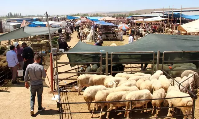 Afyonkarahisar'da kurban satış ve kesim yerleri belli oldu