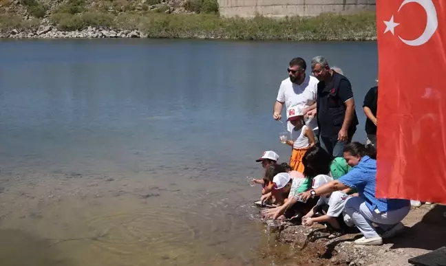 Çanakkale'deki baraj ve göletlere 1 milyon 750 bin sazan yavrusu salındı