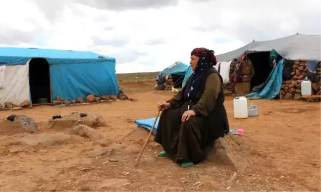 Göçerlerin Hayvanlarıyla Zorlu Yolculuğu Başladı