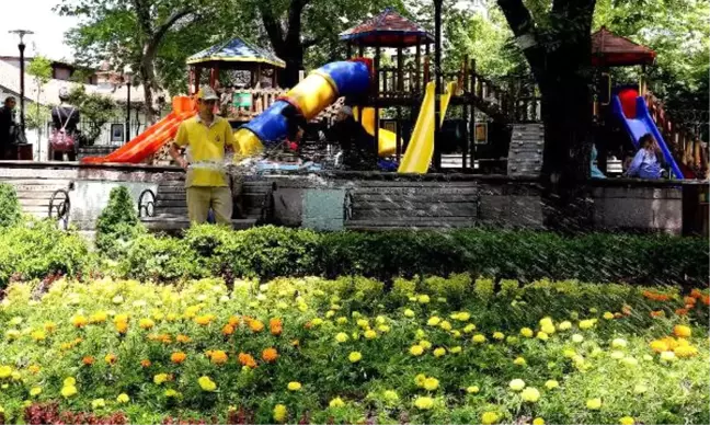 Çubuk'ta Çiçeklendirme Çalışmaları