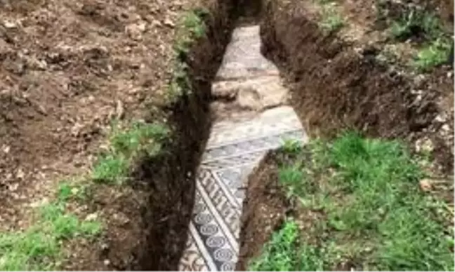 İtalya'da Roma dönemine ait bir villanın zemin mozaikleri bulundu