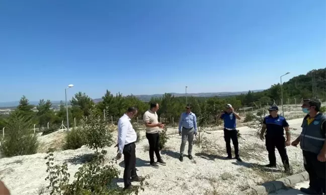 Büyükşehir'in Gördes'teki Çevreci Çalışmaları İncelendi