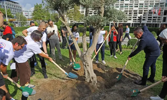 Antalya Büyükşehir Belediye Başkanı Muhittin Böcek, Gençlerle Zeytin Ağacı Dikti