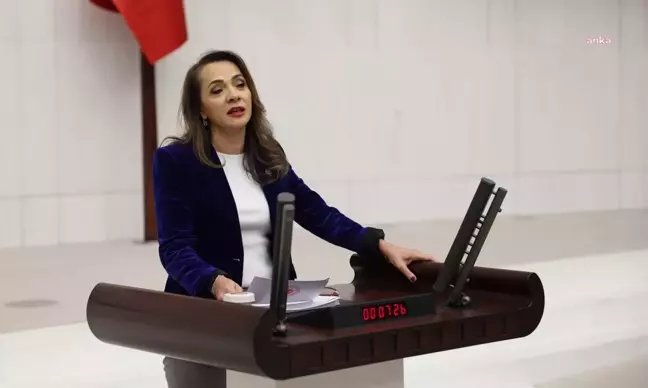 CHP Milletvekili Gamze Akkuş İlgezdi: Türkiye'de HIV vakaları 4 kat arttı