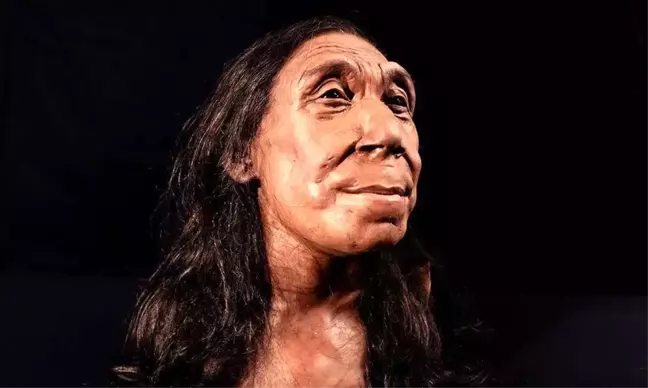 Neandertal Kadınının Yüzü Canlandırıldı