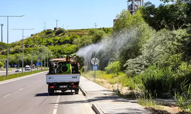 Van'da Sinek ve Haşere İlaçlama Çalışmaları Devam Ediyor