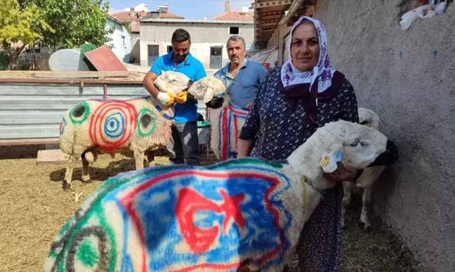 Kayseri'de Yetiştiriciler Koçlarını Sürüye Katmanın Gururunu Yaşıyor