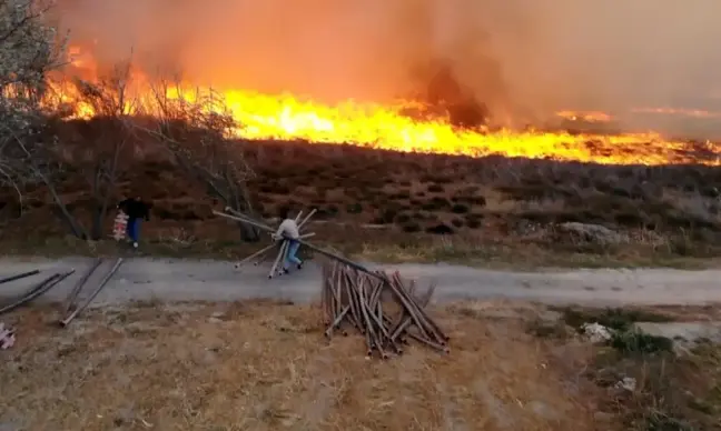 Aksaray'da 400 Dönümlük Mısır Tarlasında Yangın