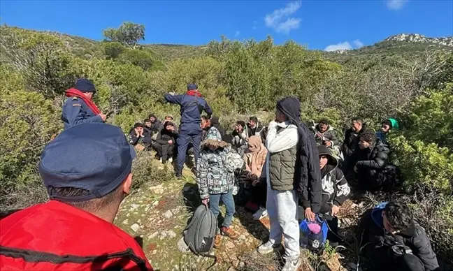 Bodrum'da Düzensiz Göçmen Operasyonu: 45 Göçmen Yakalandı