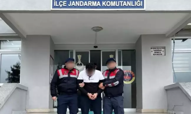 Ordu'da DEAŞ Üyesi Jandarma Operasyonu ile Yakalandı