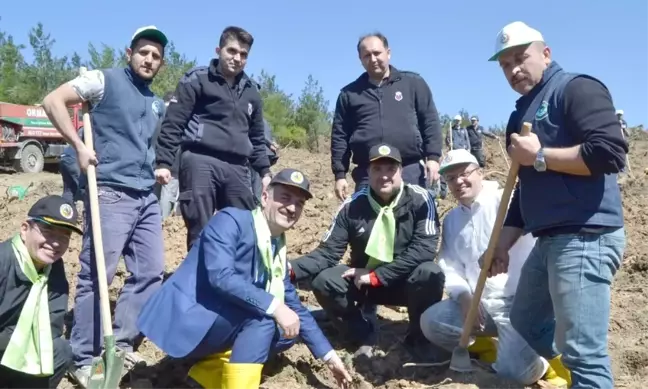Gemlik'teki Yangının Yaraları Sarılıyor