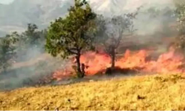 Son dakika haberi... Elazığ'da orman yangını