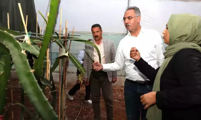 Eyyübiye Belediye Başkanı Mehmet Kuş, Sera Kentini Büyüteceklerini Açıkladı