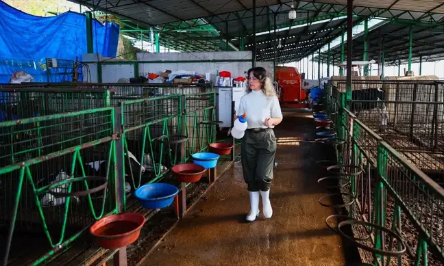 Pandemi Döneminde Kırsala Yerleşip Girişimci Oldu