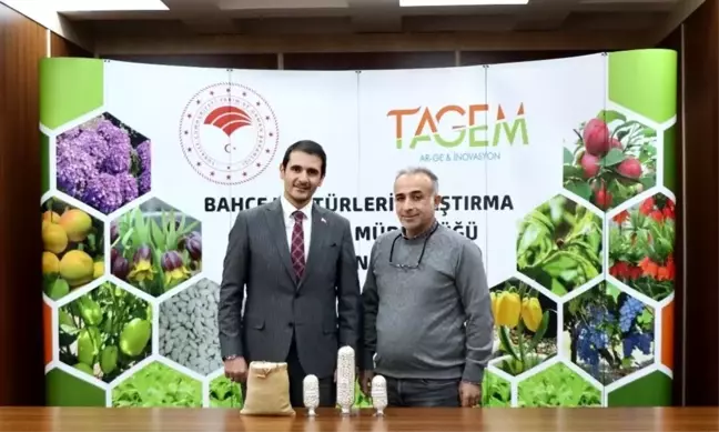 Erzincan'da İki Yeni Kuru Fasulye Çeşidi Tescil İçin Başvuruldu