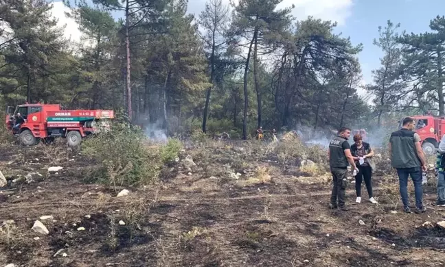 Balıkesir'de yangın mı çıktı? 23 Ağustos Salı Balıkesir Karesi ve Balya'da nerede yangın çıktı, yangında hasar oluştu mu, yangın söndürüldü mü?