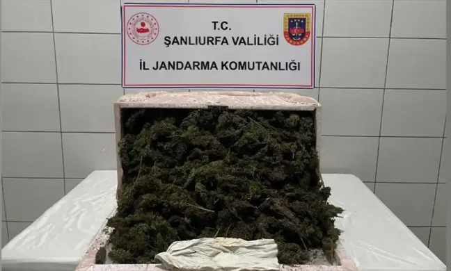Şanlıurfa'da Uyuşturucu Operasyonu: 35 Kilogram Esrar ve 250 Gram Metamfetamin Ele Geçirildi