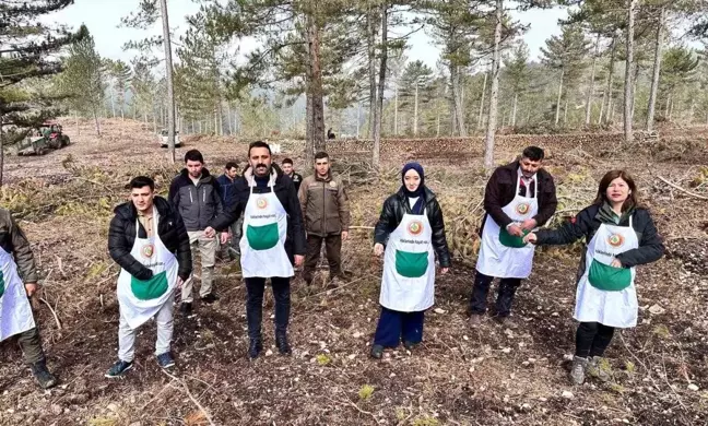 Altıntaş ve Dumlupınar Kaymakamları Karaçam Tohumu Ekimine Katıldı