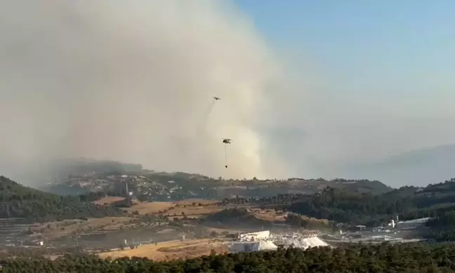 Aydın'ın Bozdoğan ilçesindeki orman yangınına havadan destek