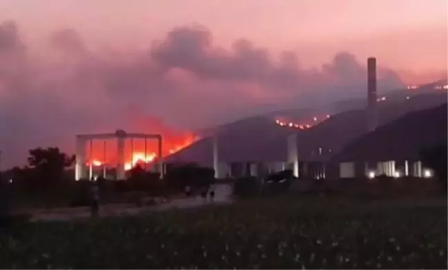 Termik santral ne ile çalışır? Termik santraller nasıl çalışır?