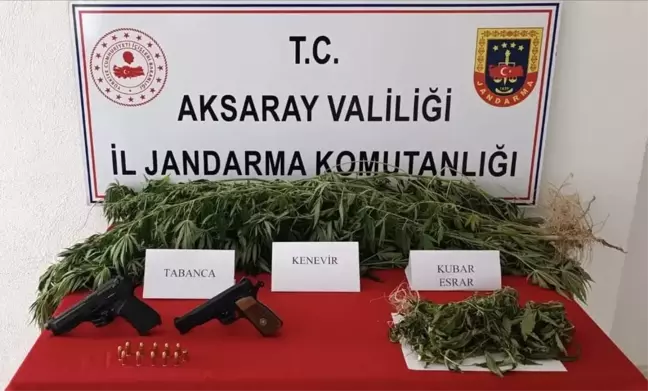 Aksaray'da Yasa Dışı Kenevir Ekimi ve Uyuşturucu Ticareti Operasyonu